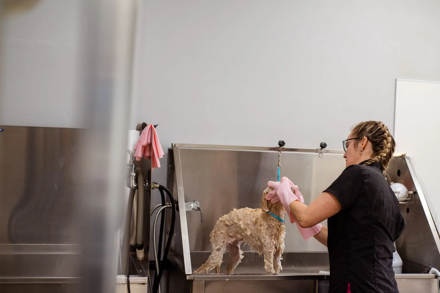 Stock groomer washing a dog, illustrating a sample team profile